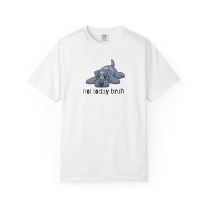 Kerry Blue Not Today Bruh T-Shirt
