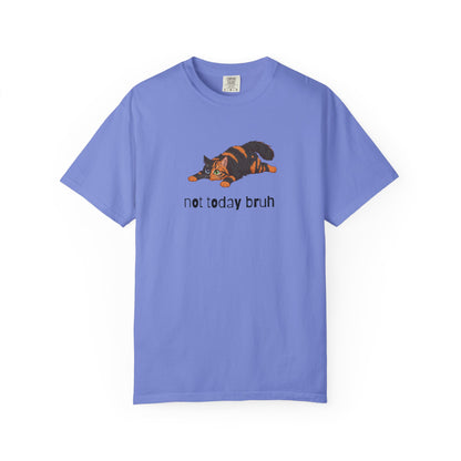 Long hair chimera cat Not Today Bruh T-Shirt