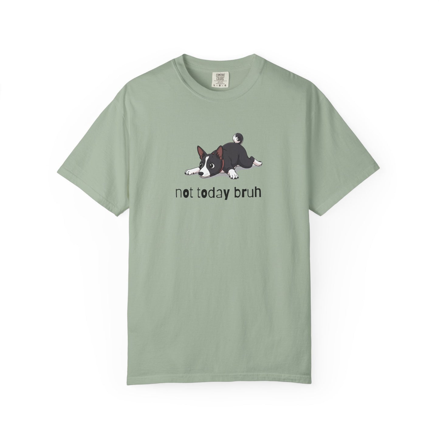 Basenji Not Today Bruh T-Shirt