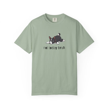 Basenji Not Today Bruh T-Shirt