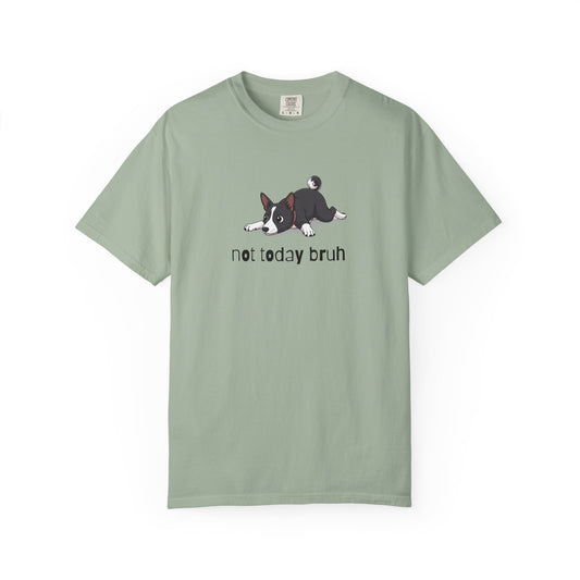 Basenji Not Today Bruh T-Shirt