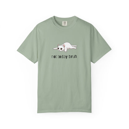 American Curl Not Today Bruh T-Shirt